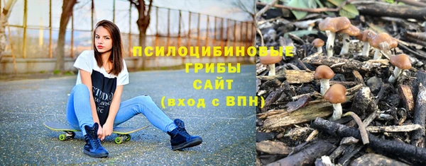 Альфа ПВП Абдулино