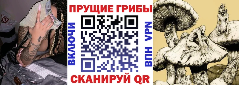 Псилоцибиновые грибы прущие грибы  Нягань 